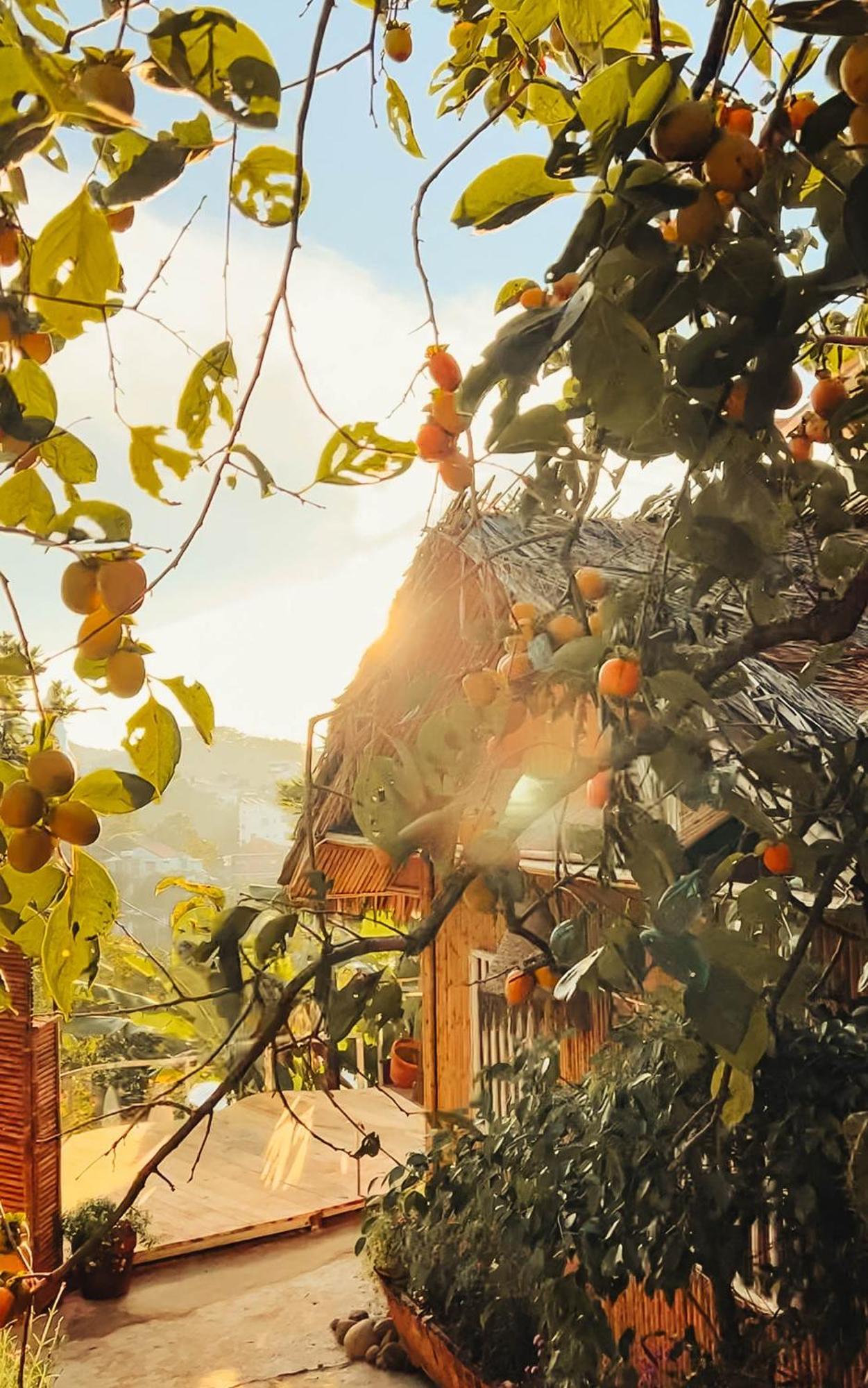 Nay Bungalow Dalat ภายนอก รูปภาพ